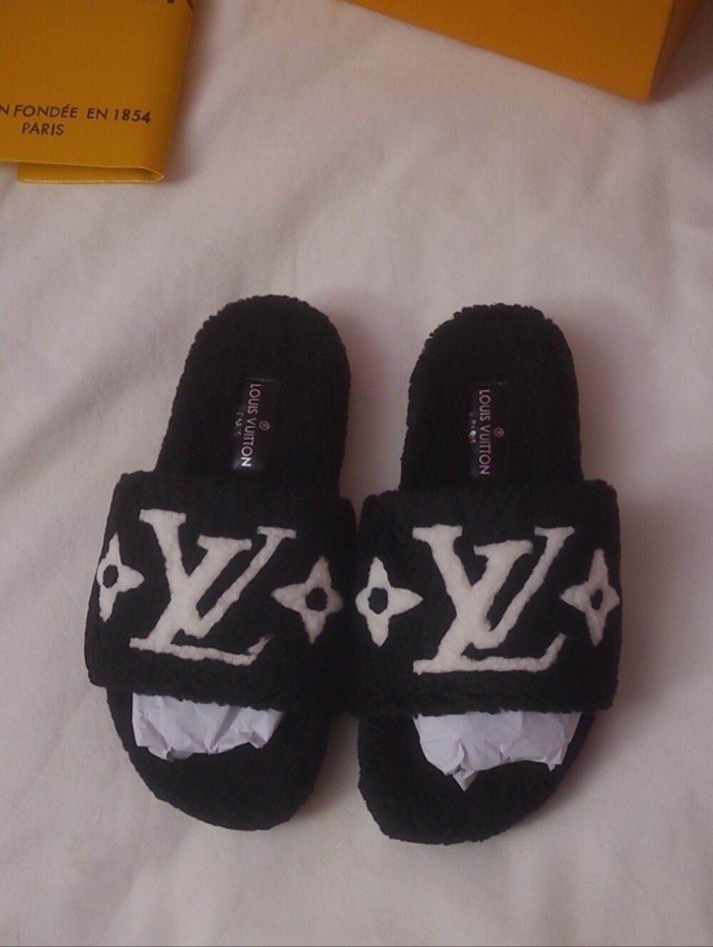 LV Slides
